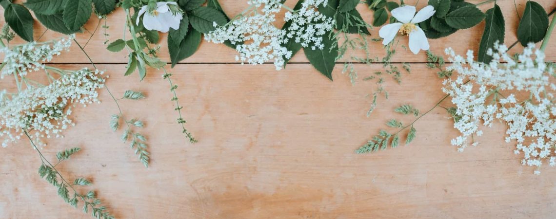 Mengenal Jenis Jenis Bunga Papan Makassar dan Bagaimana Cara Memilih yang Tepat