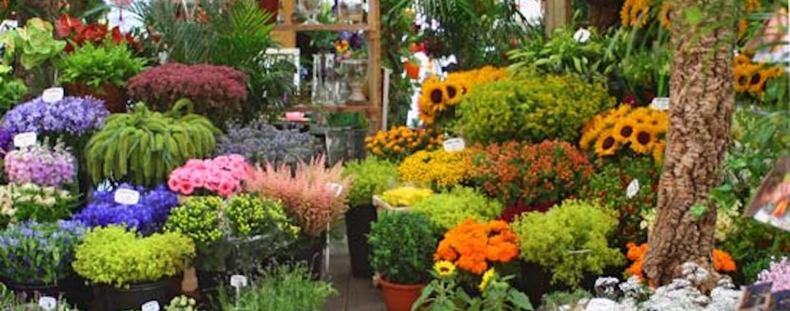 Menggunakan Jasa Florist Makassar, Berikut Alasan Mengapa Orang Suka Memberikan Bunga