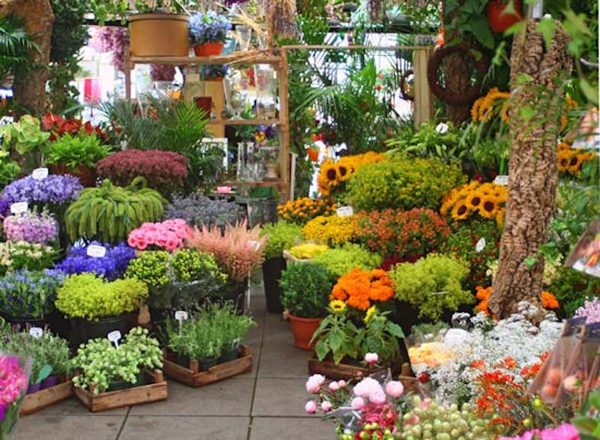 Menggunakan Jasa Florist Makassar, Berikut Alasan Mengapa Orang Suka Memberikan Bunga