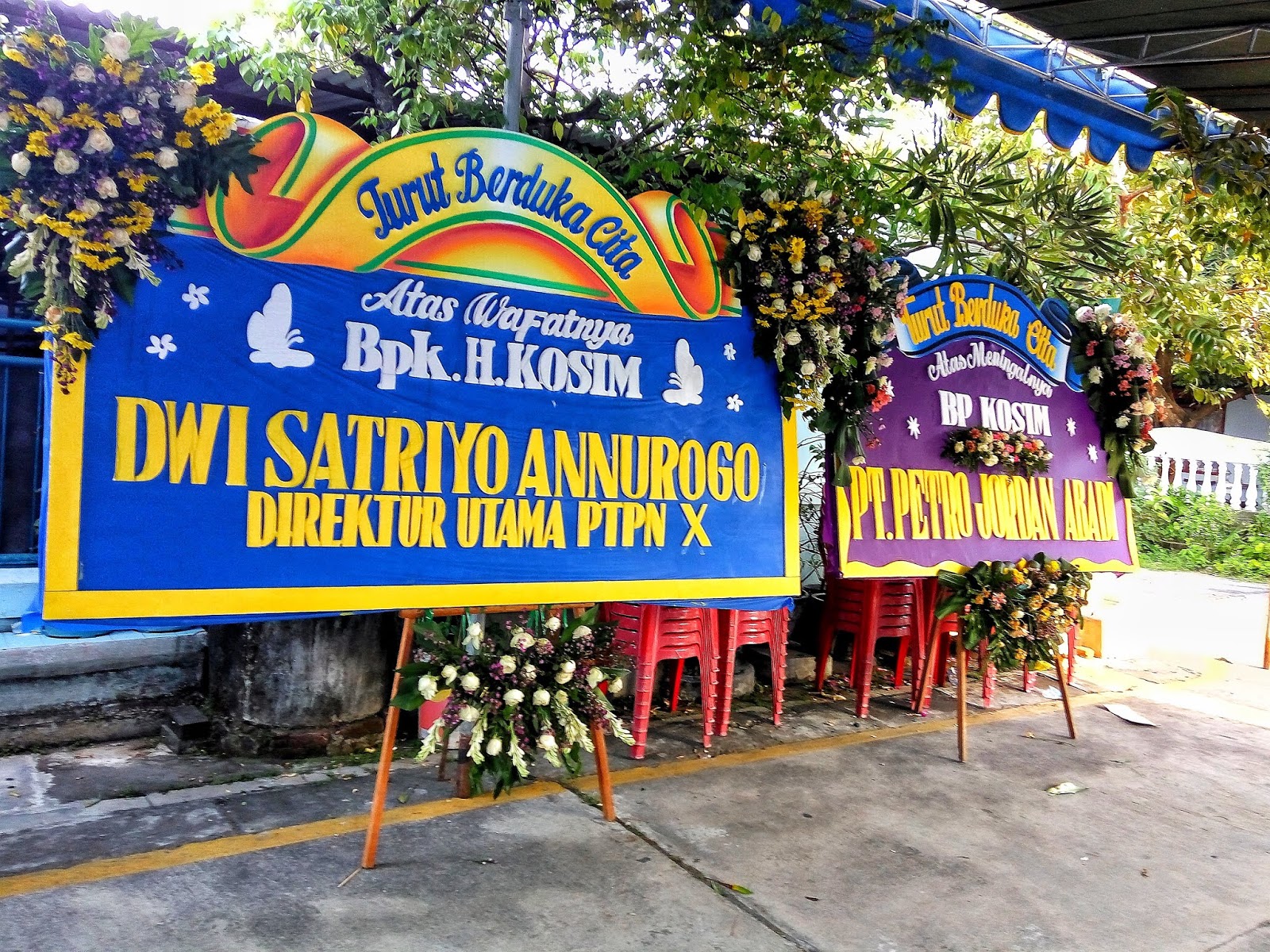 Beragam Kegunaan Bunga Papan Makassar Untuk Berbagai Kegiatan, Lihat Apa Saja
