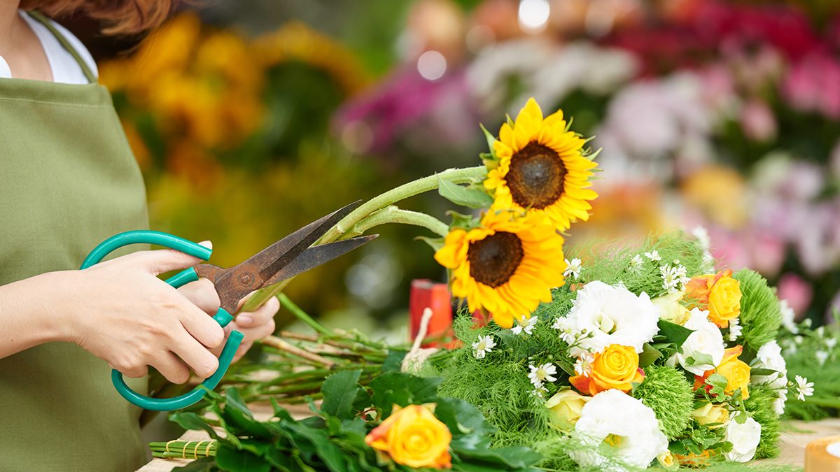 Tips Memilih Toko dan Jenis Bunga yang Tepat di Florist Makassar