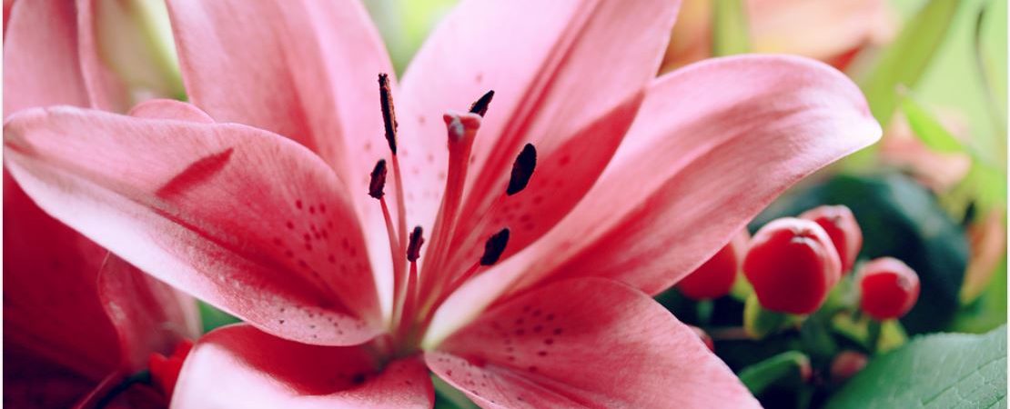 7 Ide Desain Karangan Bunga Makassar Pelengkap Hari Spesial, Lihat Apa Saja