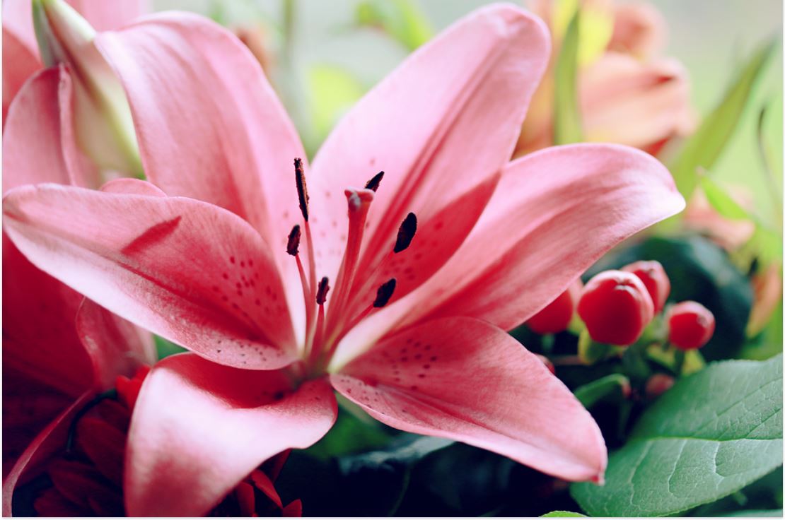 7 Ide Desain Karangan Bunga Makassar Pelengkap Hari Spesial, Lihat Apa Saja